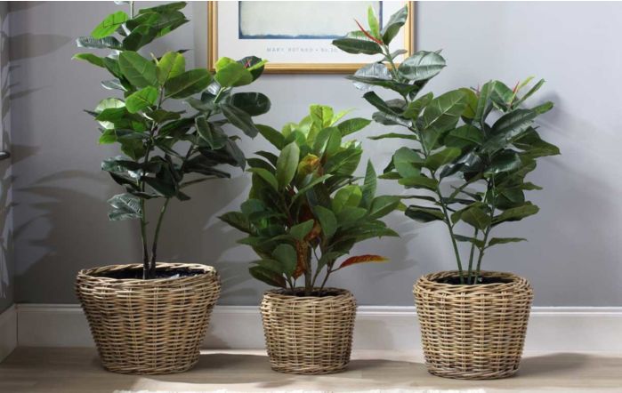 Set of 3 Lined Plant Baskets